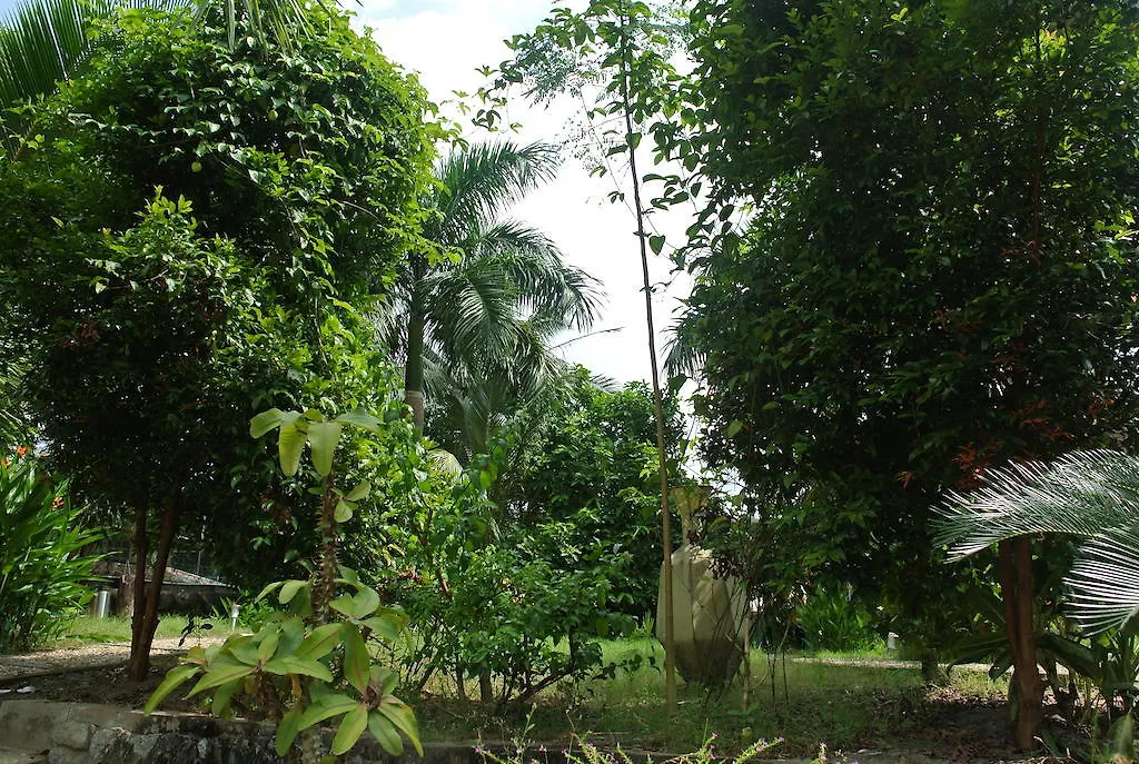 Yaewaddy Motel Yangon
